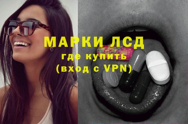 СК Горняк