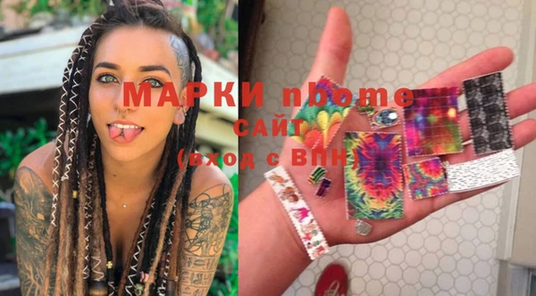 сатива Каменка