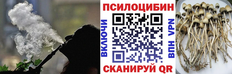 Псилоцибиновые грибы прущие грибы  Вуктыл 